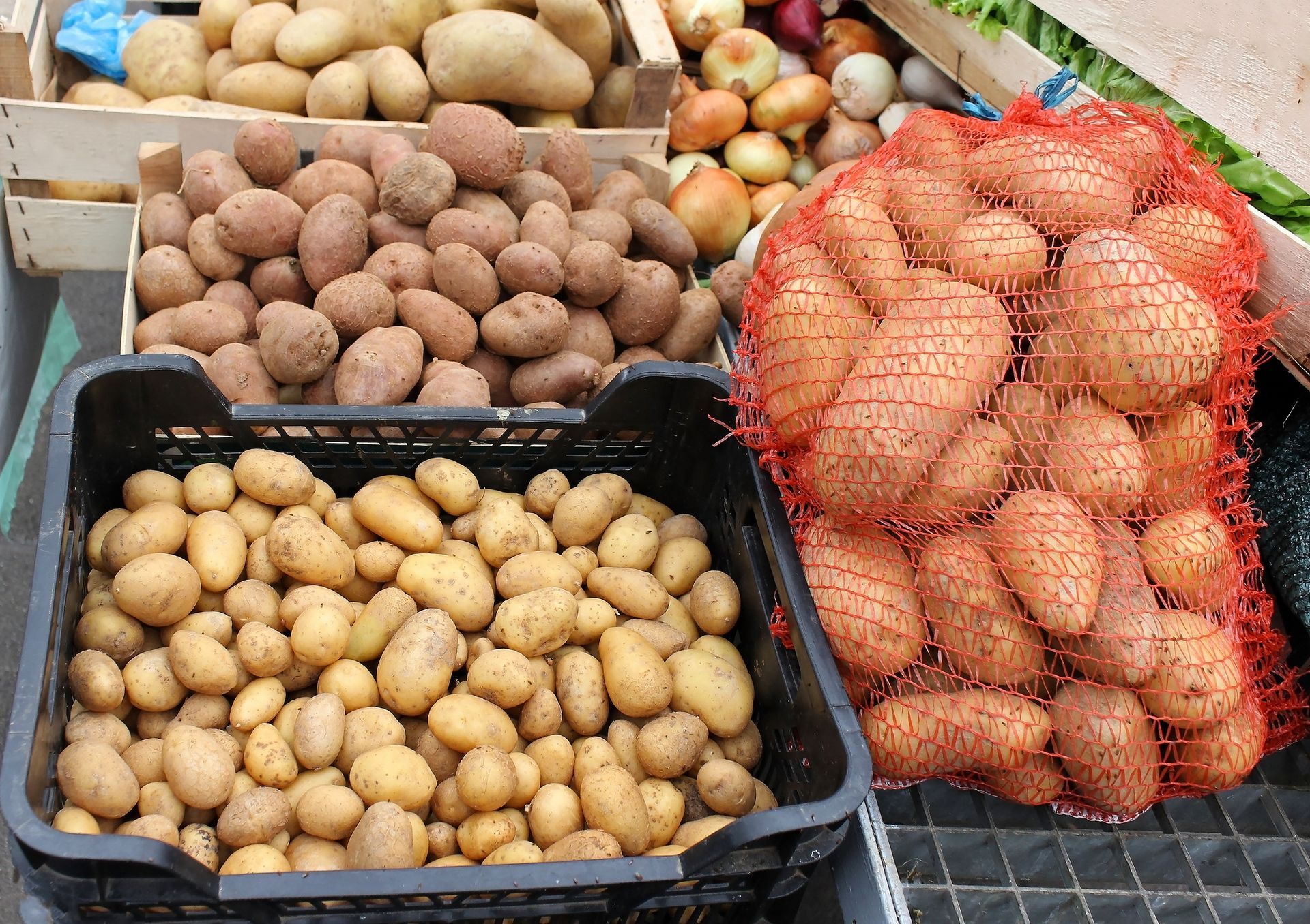 Des pommes de terre de tailles et de couleurs variées, présentées dans différents contenants et un sac en filet, sur un marché.