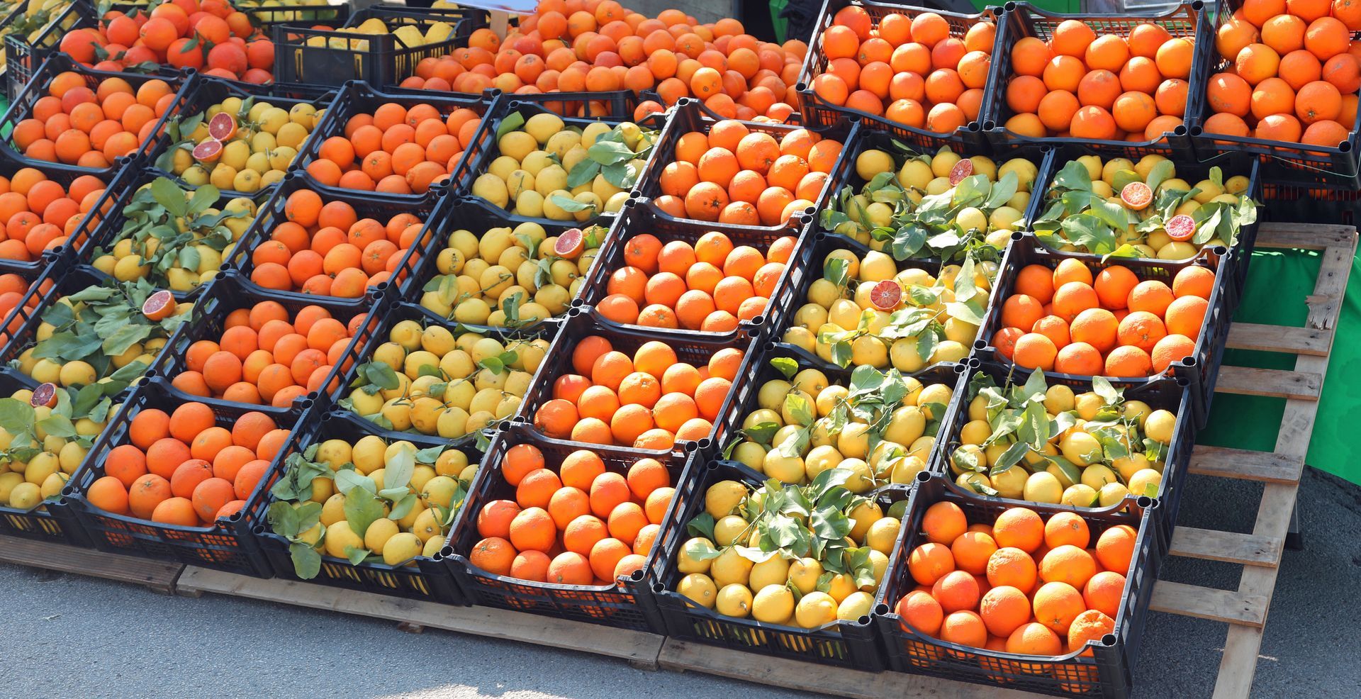 Assortiment d'oranges et de citrons dans des caisses noires sur un marché en plein air.