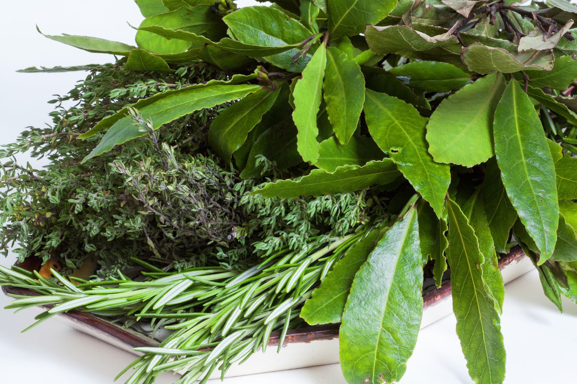 Herbes fraîches : thym, romarin, feuilles de laurier, sauge, dans un plat rectangulaire décoratif.