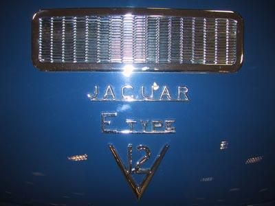 Eine Nahaufnahme eines Jaguar-Emblems auf einem blauen Auto