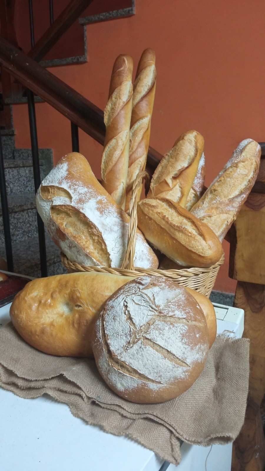 En una cesta de mimbre poco profunda reposa una hogaza grande y redonda de pan artesanal, crujiente.