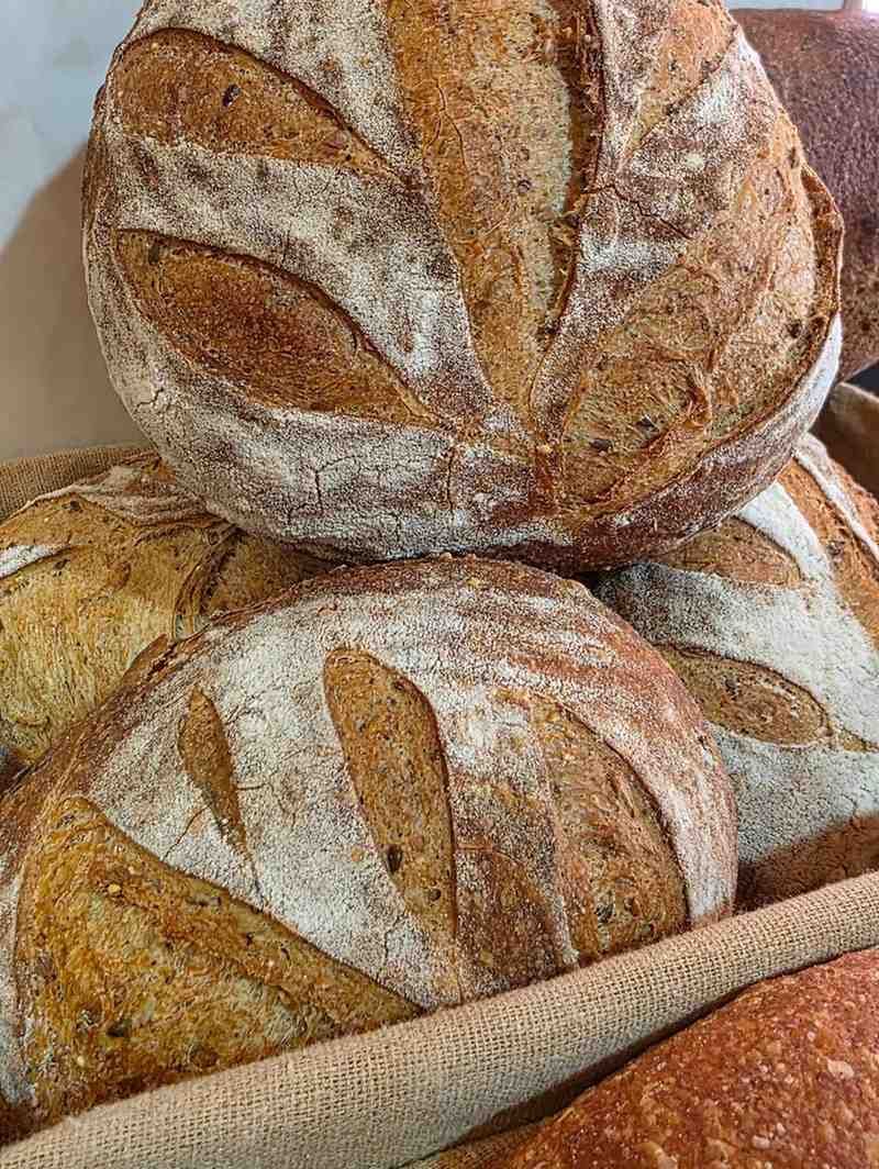 Varias hogazas redondas y rústicas de pan de masa madre con la parte superior marcada, dispuestas en una cesta de mimbre.
