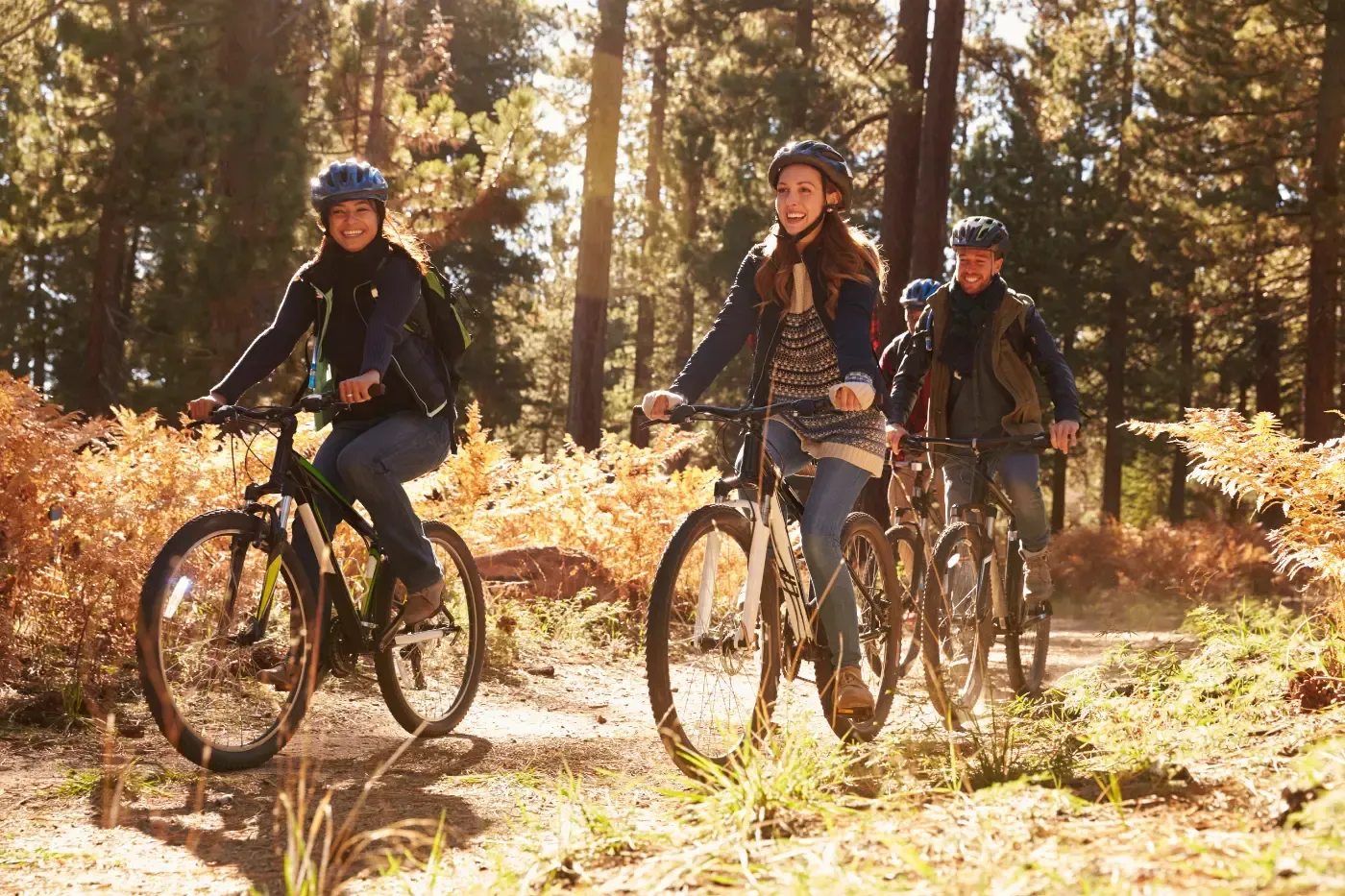 Eine Gruppe Radfahrer fährt auf einem sonnenbeschienenen Pfad durch einen Wald, der mit goldenem Herbstlaub bedeckt ist.