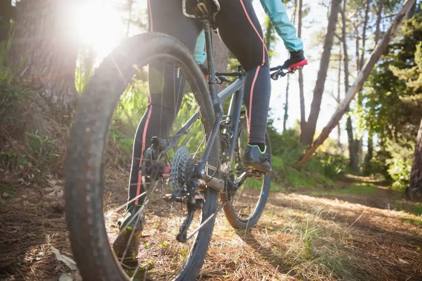 Ein Radfahrer fährt mit einem Mountainbike auf einem sonnenbeschienenen Feldweg durch einen Wald.