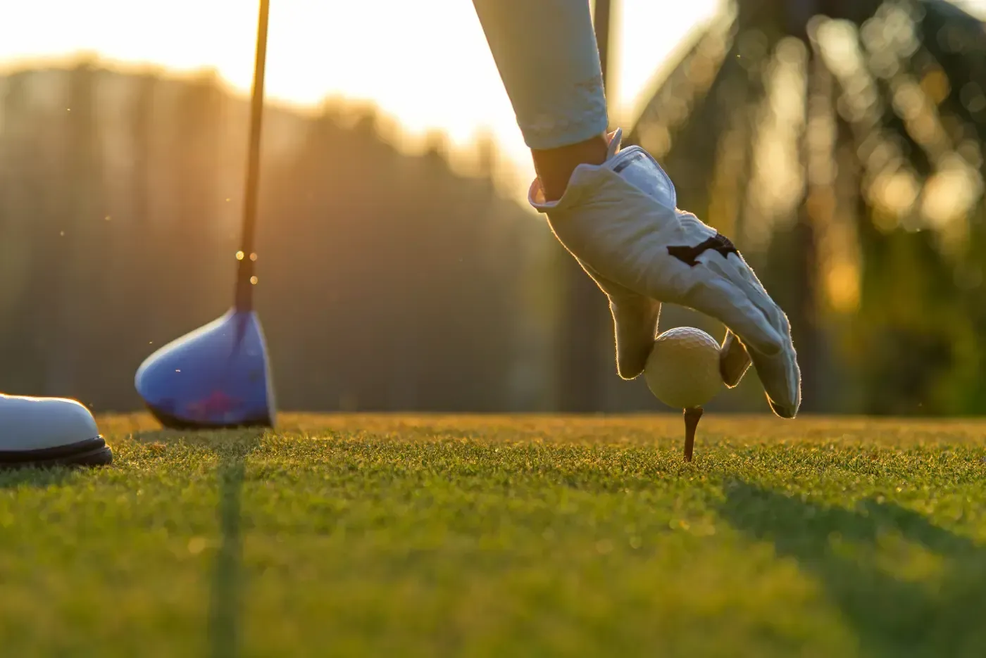 Eine Hand in einem weißen Golfhandschuh legt bei Sonnenuntergang einen Golfball auf ein Tee auf einem grünen Golfplatz; ein Golfschläger liegt daneben.