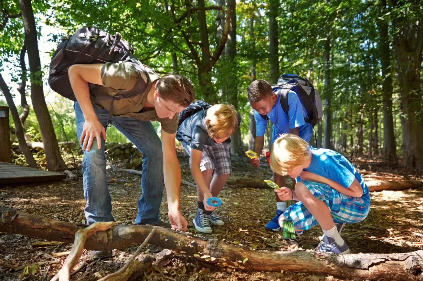 Eine Gruppe von Menschen mit Rucksäcken untersucht Gegenstände auf einem umgestürzten Baumstamm in einem sonnenbeschienenen Wald.