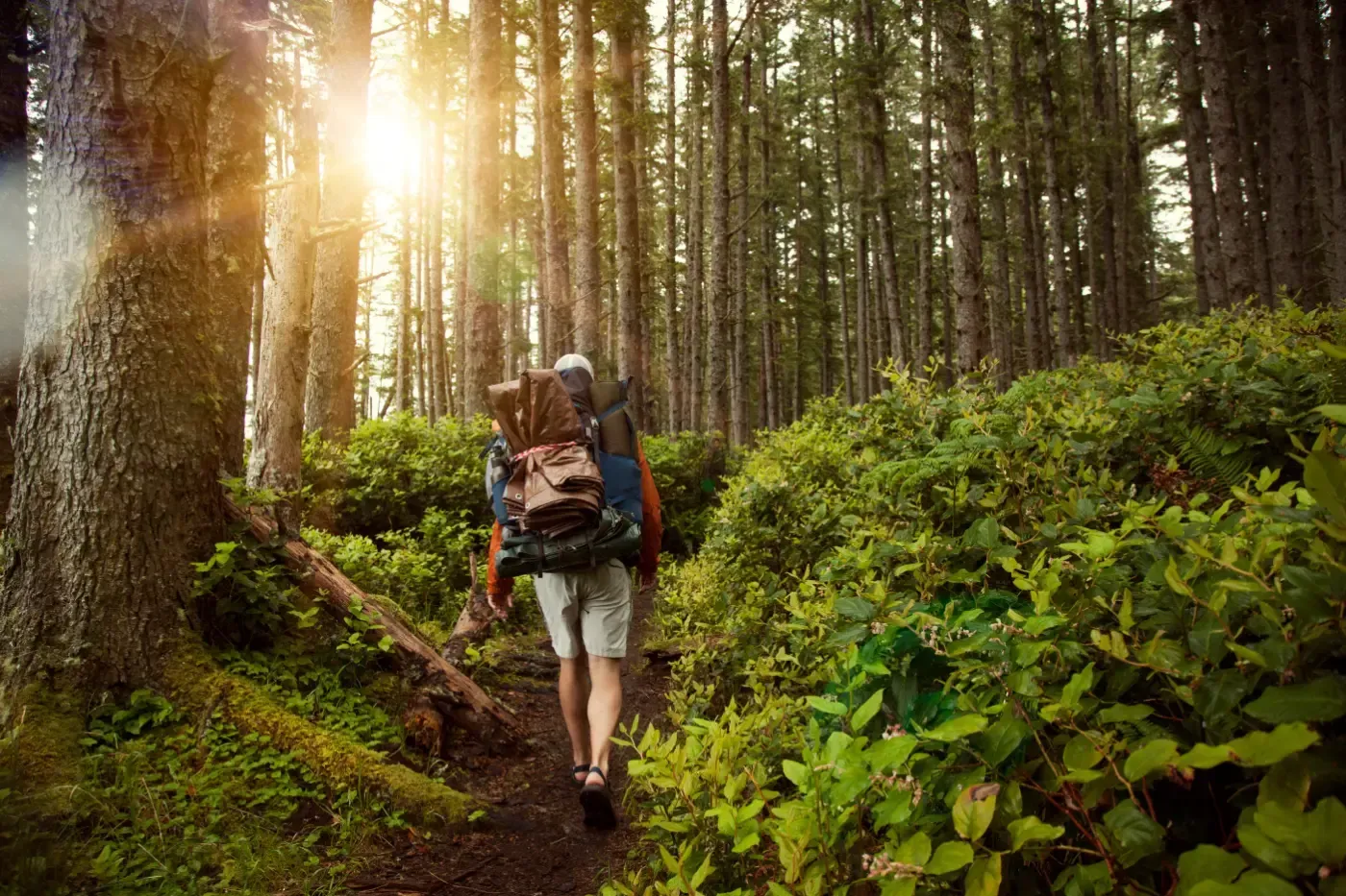 Eine Person mit einem großen Wanderrucksack geht einen bewaldeten Pfad entlang, der in helles, goldenes Sonnenlicht getaucht ist.