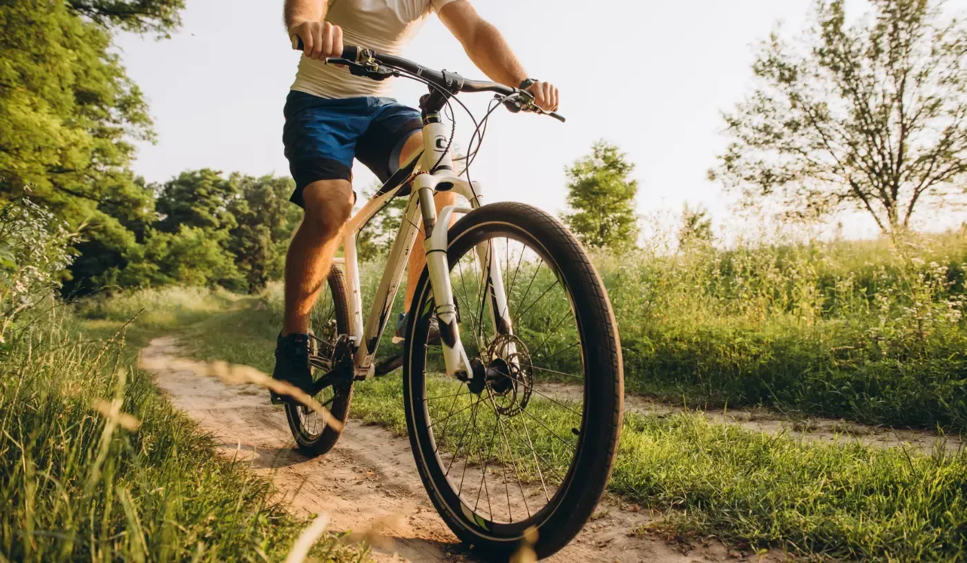 Eine Person fährt mit dem Fahrrad auf einem unbefestigten Weg, der von grünem Gras und Bäumen umgeben ist, im warmen, goldenen Sonnenlicht.