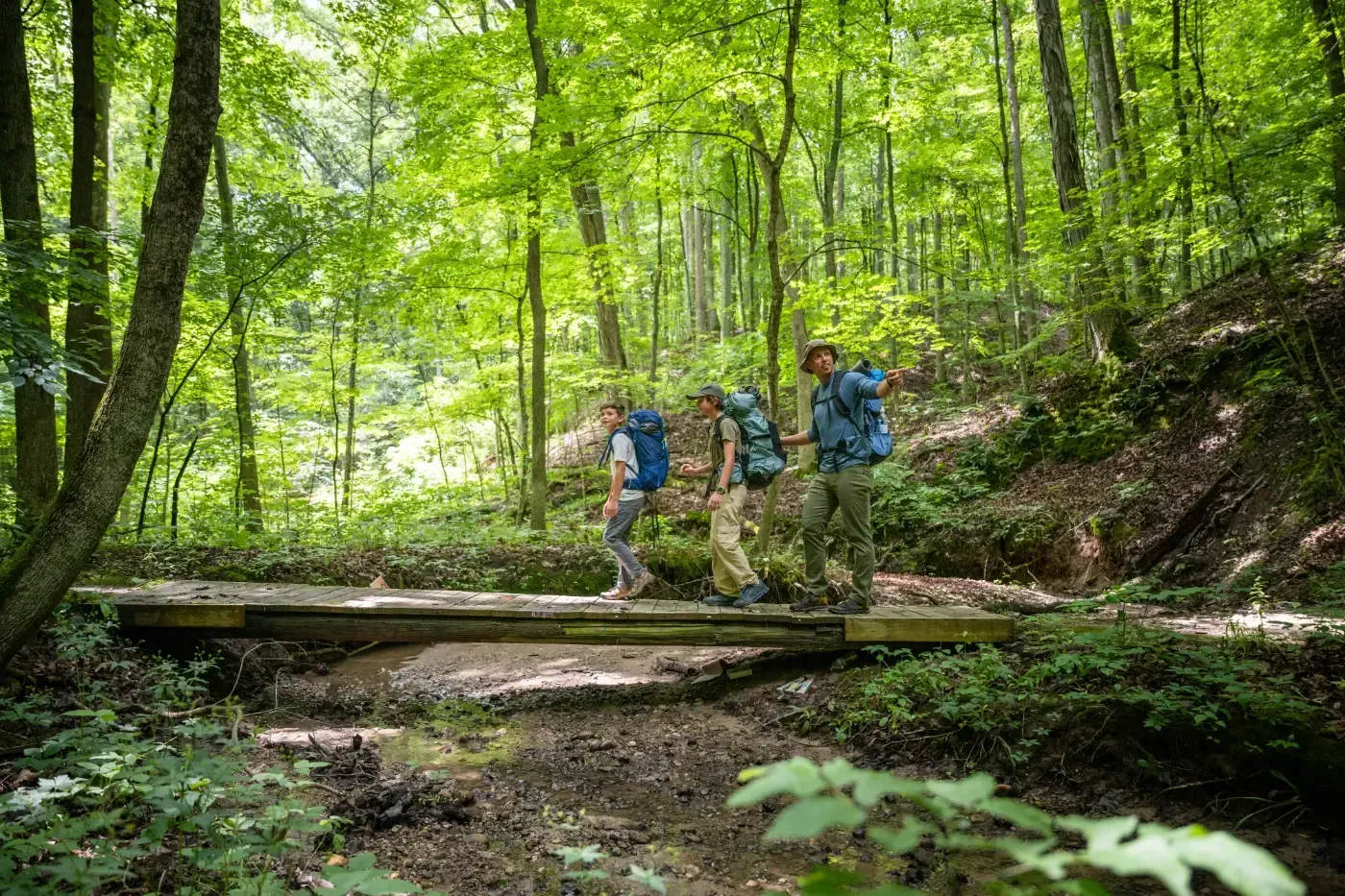 Drei Wanderer mit Rucksäcken überqueren eine hölzerne Fußgängerbrücke durch einen üppigen, grünen Wald.
