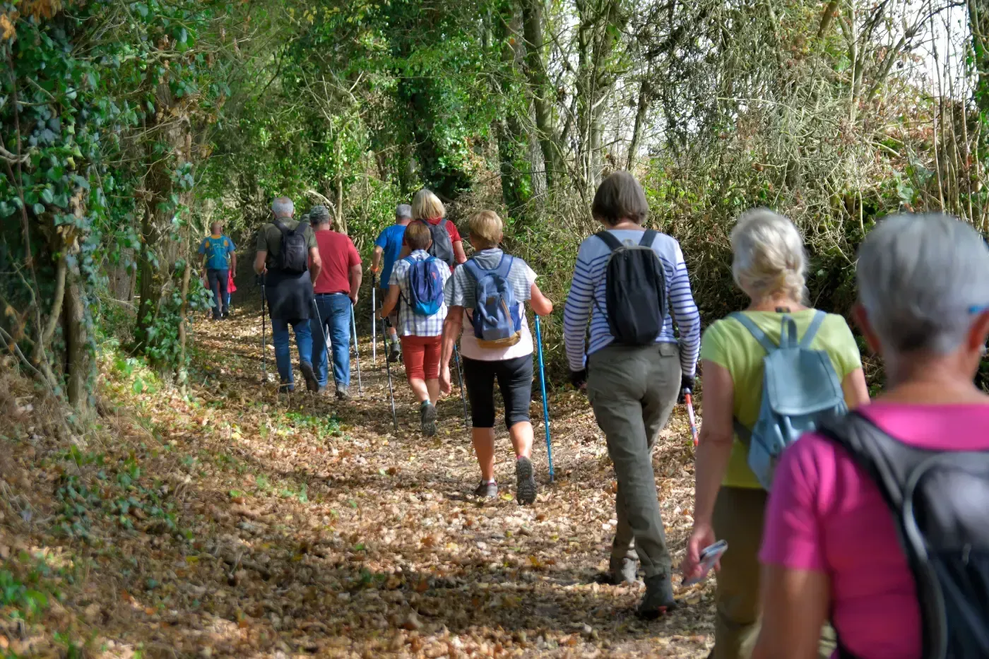 Eine Gruppe von Menschen mit Rucksäcken wandert auf einem schmalen, laubbedeckten Pfad durch einen sonnenbeschienenen Wald.