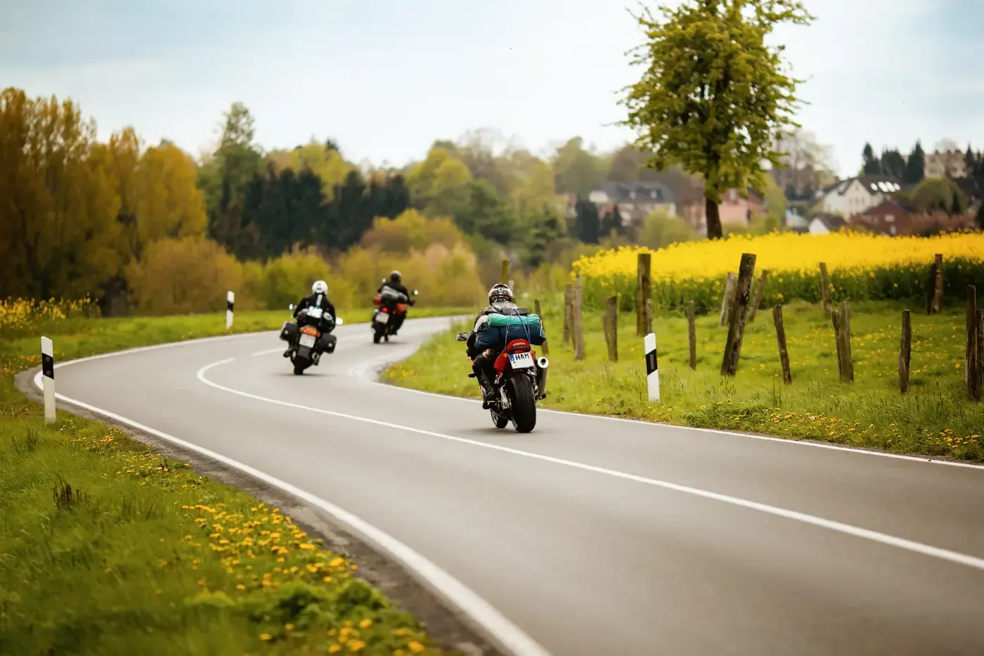 Drei Motorradfahrer fahren auf einer kurvenreichen Landstraße, die von gelben Blumen und einer Wiese gesäumt ist.