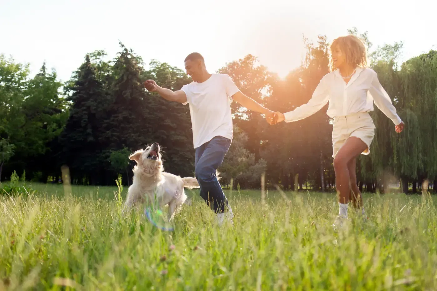 An einem hellen, diesigen Tag rennen ein Mensch und sein Partner mit einem weißen Hund über ein sonniges, grasbewachsenes Feld.