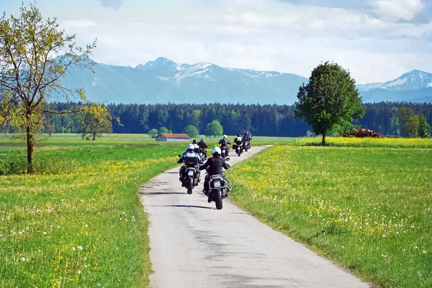 Eine Gruppe Motorradfahrer fährt eine schmale Landstraße entlang durch Felder, dahinter erstrecken sich Wälder und schneebedeckte Berge.