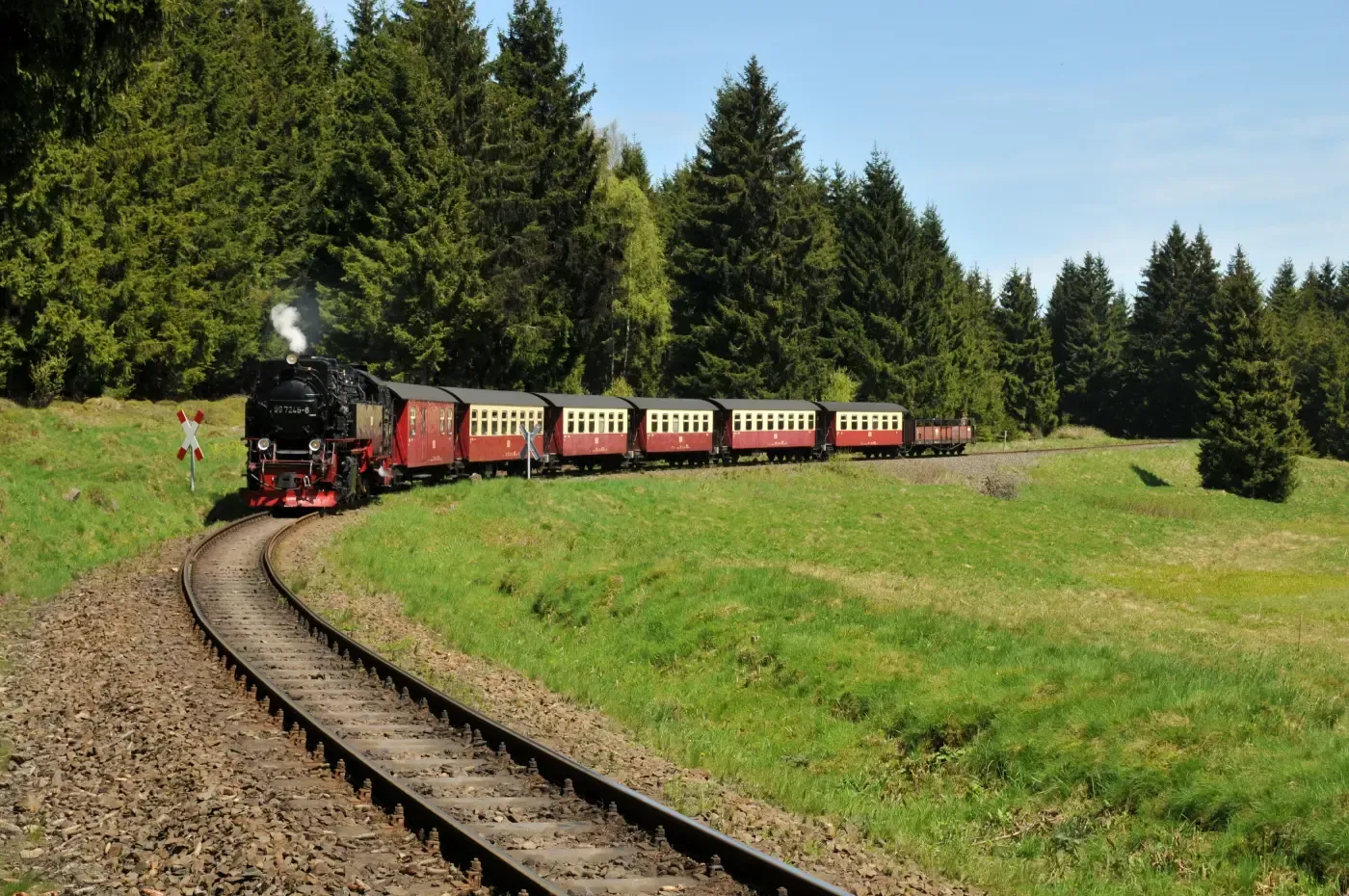 Eine Dampflokomotive fährt auf einer kurvigen Strecke durch ein üppiges, grünes Grasfeld, das von einem dichten immergrünen Wald gesäumt ist.