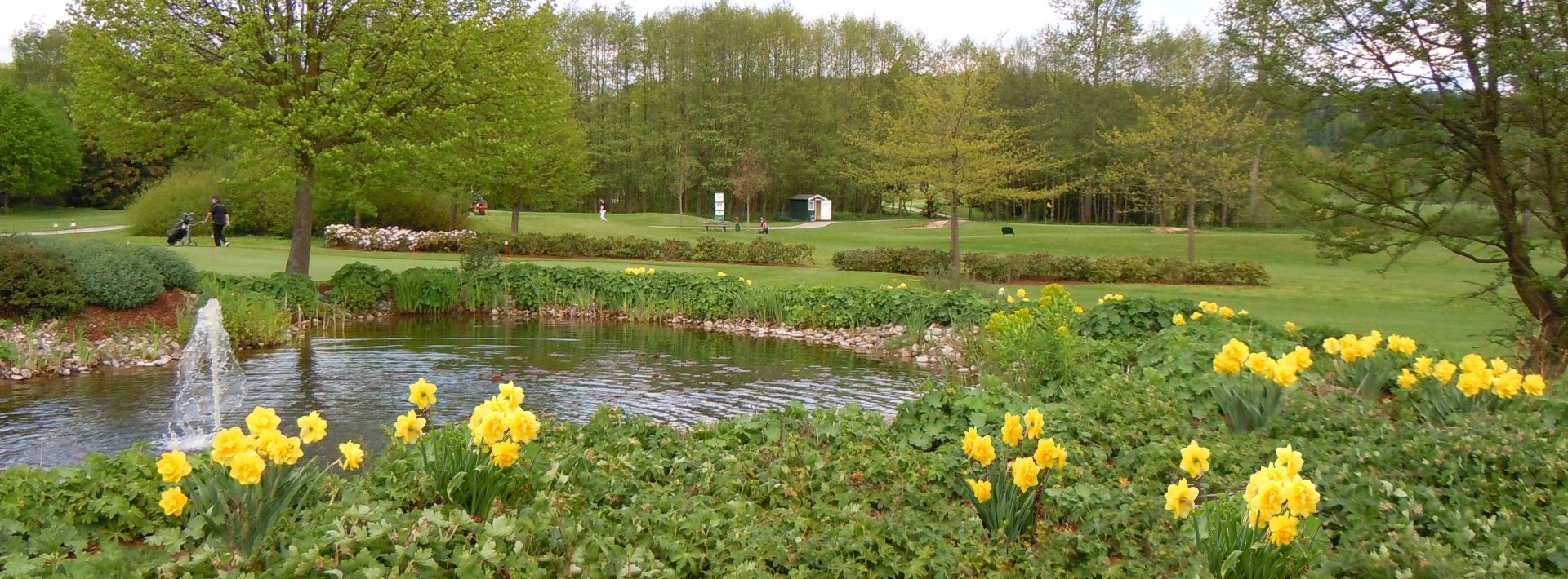 Ein kleiner Teich mit Springbrunnen in einem üppig grünen Park, im Vordergrund eingerahmt von blühenden gelben Narzissen.