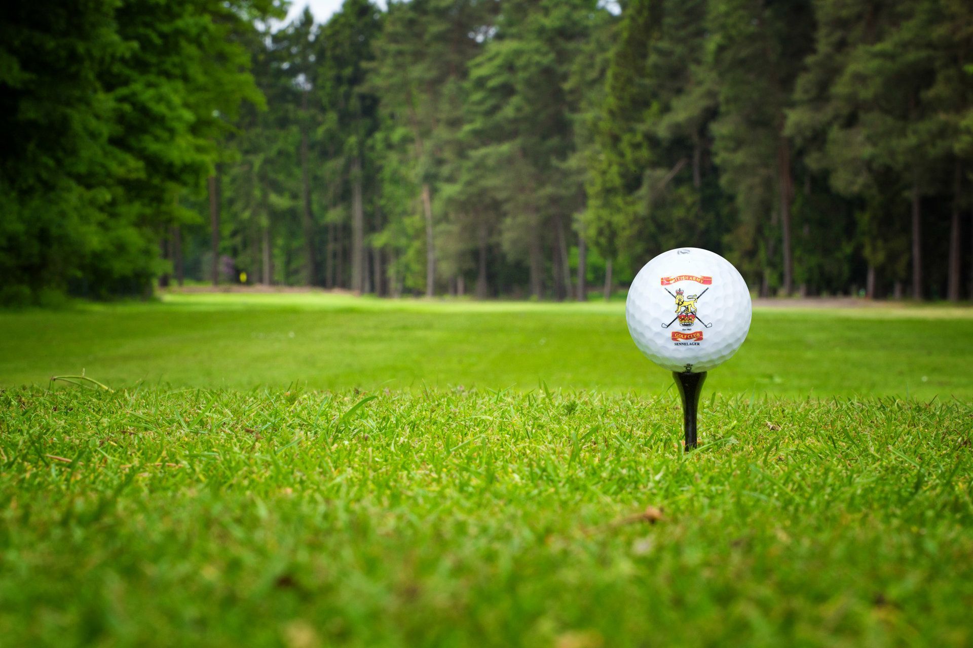 Ein weißer Golfball mit Logo liegt auf einem Abschlag inmitten eines leuchtend grünen Fairways, im Hintergrund ist ein Wald zu sehen.
