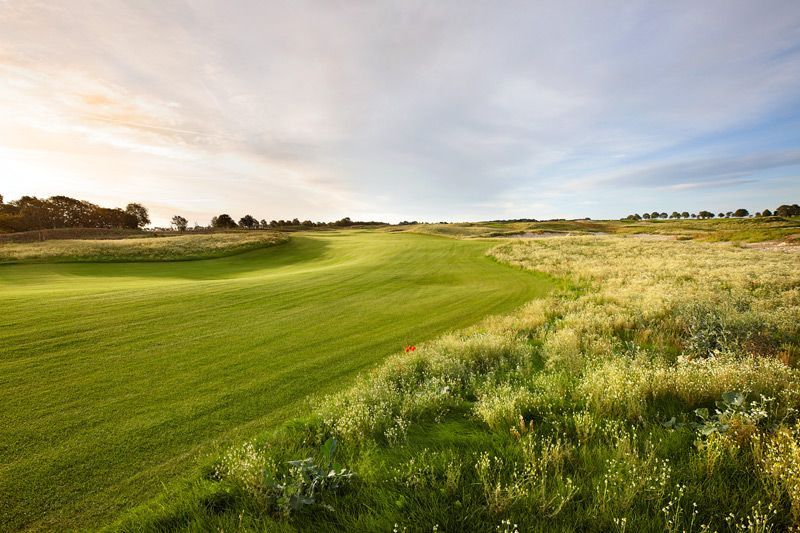 Ein sonnenbeschienener Golfplatz erstreckt sich vor uns, gesäumt von sattgrünem Gras und Feldern mit wildem, hohem Gras unter freiem Himmel.