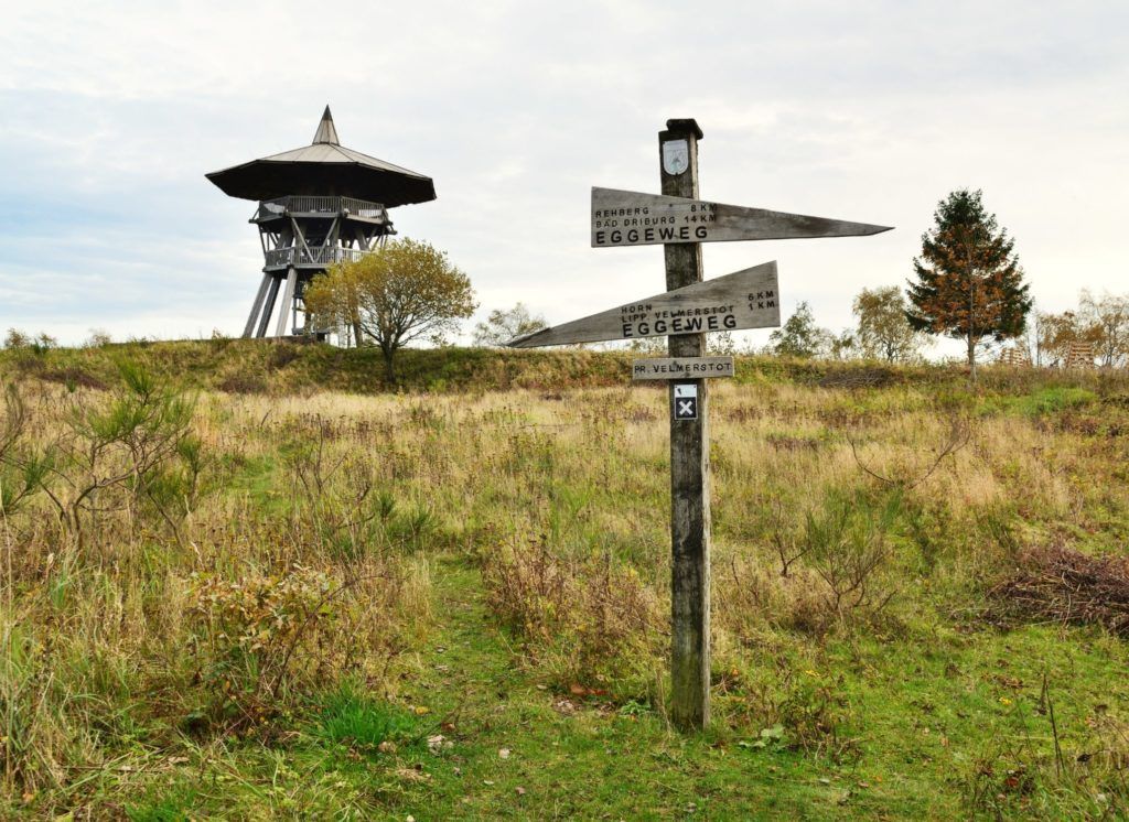 Auf einem grasbewachsenen Feld steht ein hölzerner Wegweiser, der unter einem bewölkten Himmel auf einen entfernten hölzernen Aussichtsturm weist.