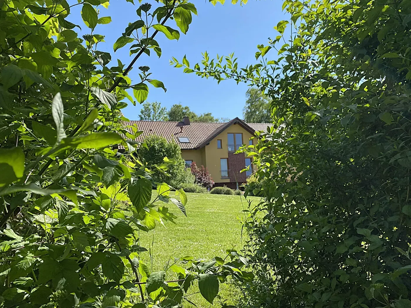 Ein gelbes Haus mit Ziegeldach, durch eine Lücke in grünen Büschen zu sehen, hinter einer sonnigen, grasbewachsenen Wiese unter blauem Himmel.