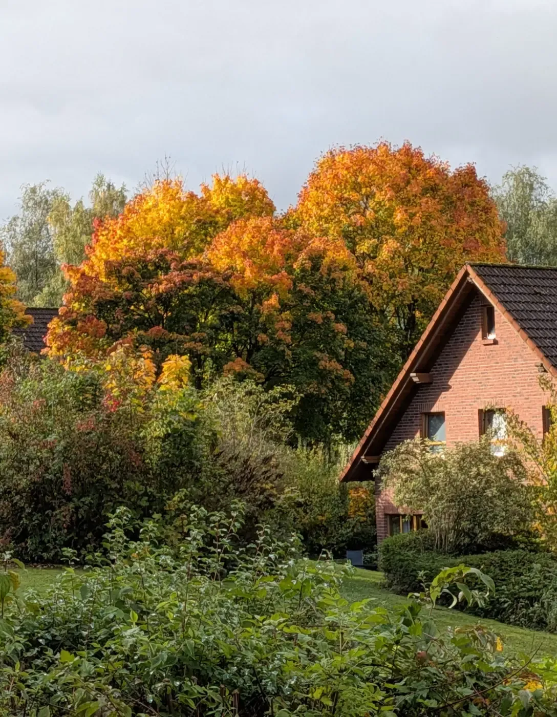 Ein Haus aus roten Backsteinen mit dunklem Dach, eingebettet zwischen Bäumen mit leuchtend orangefarbenem und gelbem Herbstlaub.