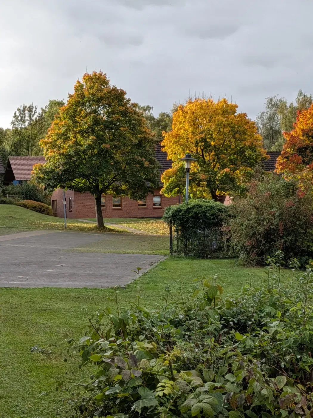 An einem bewölkten Tag stehen zwei leuchtende Herbstbäume mit grünem und gelbem Laub vor einem Backsteingebäude.