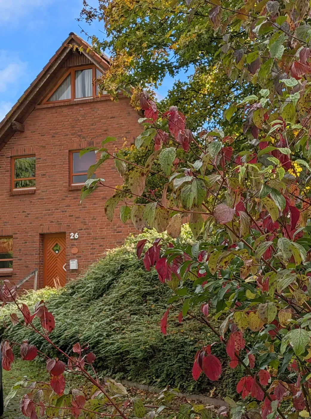 Ein rotes Backsteinhaus mit Giebeldach, das durch die bunten Herbstblätter eines nahegelegenen Baumes zu sehen ist.
