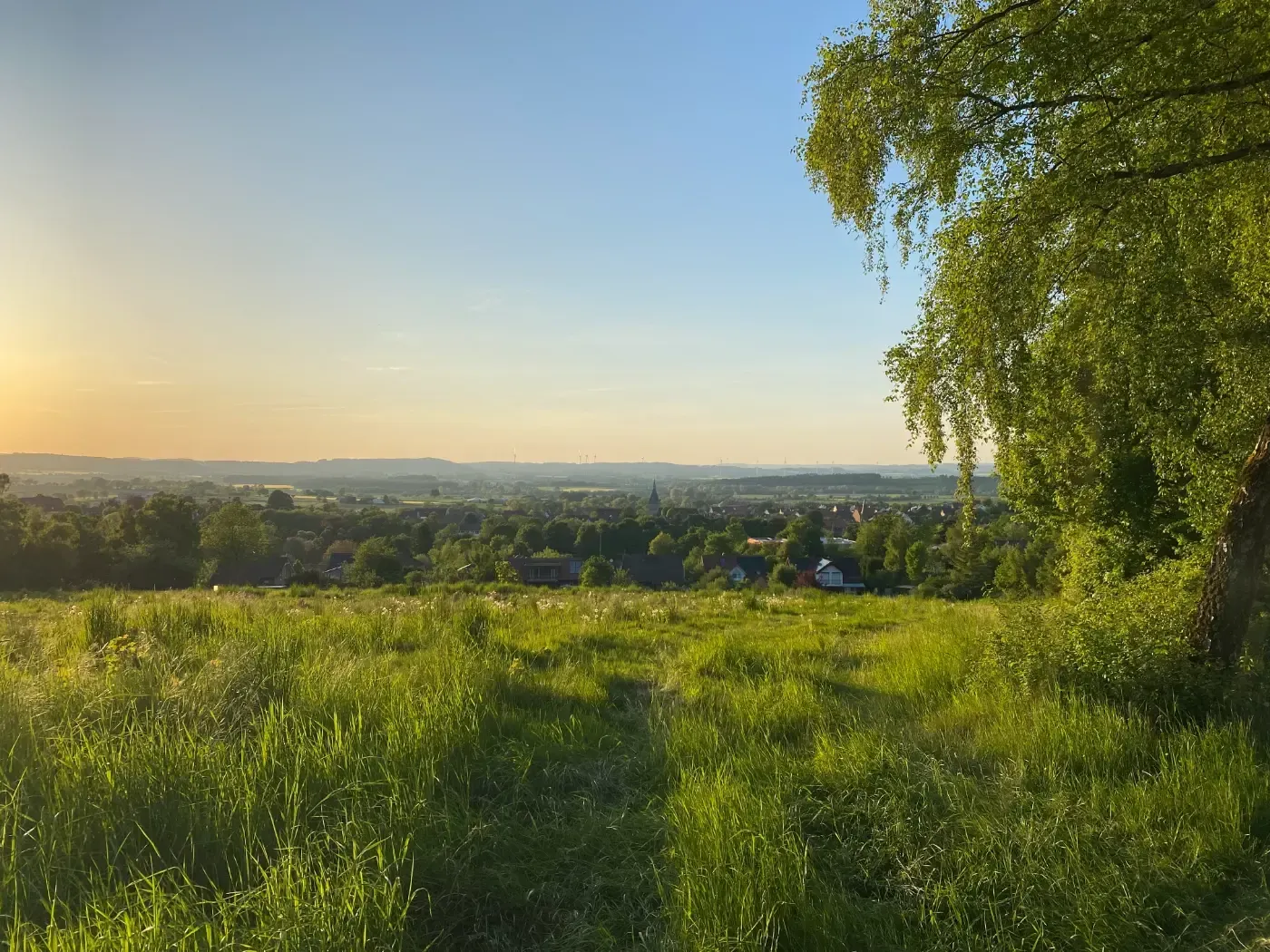 Ein malerischer Blick von einem grasbewachsenen Hügel über ein Tal unter klarem, warmem Himmel bei Sonnenuntergang.