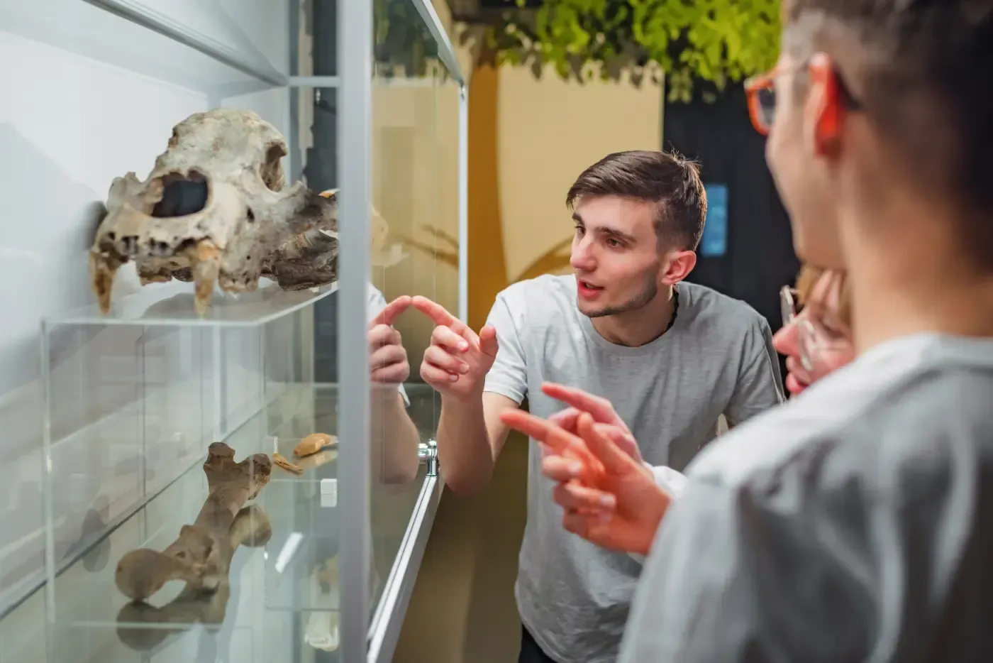 Zwei Personen in einem Museum betrachten einen in einer Glasvitrine ausgestellten Tierschädel und zeigen darauf.