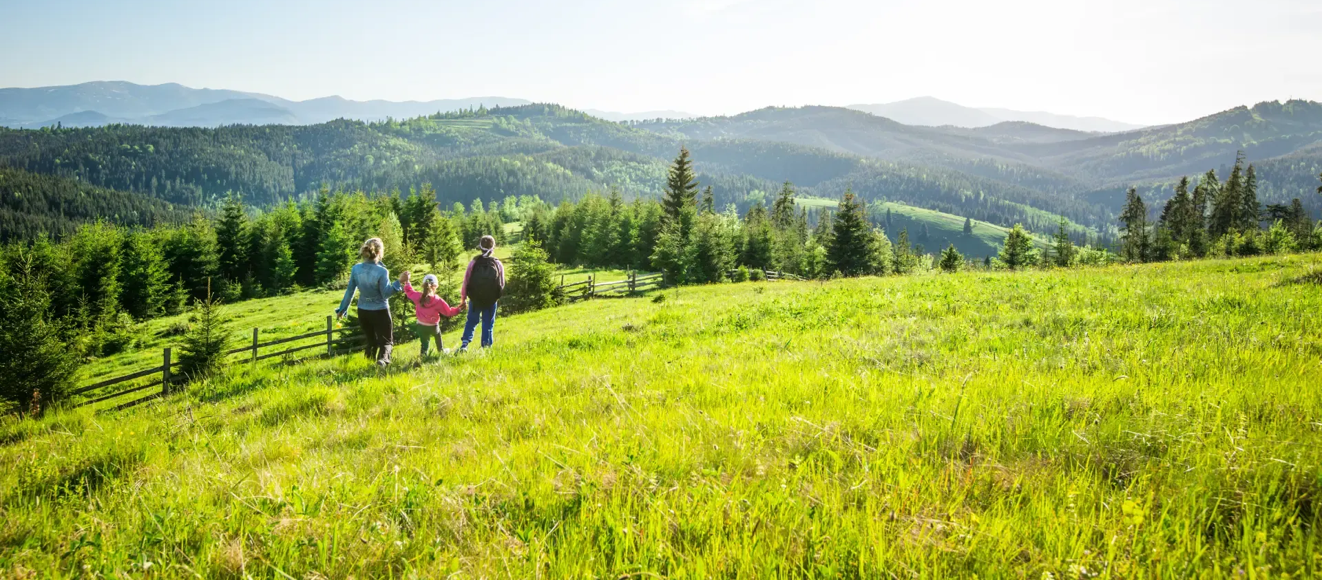 Drei Personen wandern unter strahlendem Sonnenschein durch eine leuchtend grüne Bergwiese in Richtung eines bewaldeten Hügels.