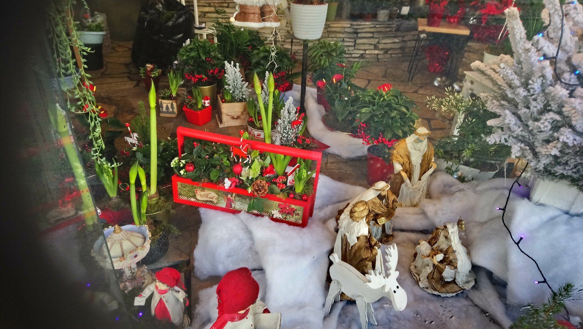 Vitrine de noël