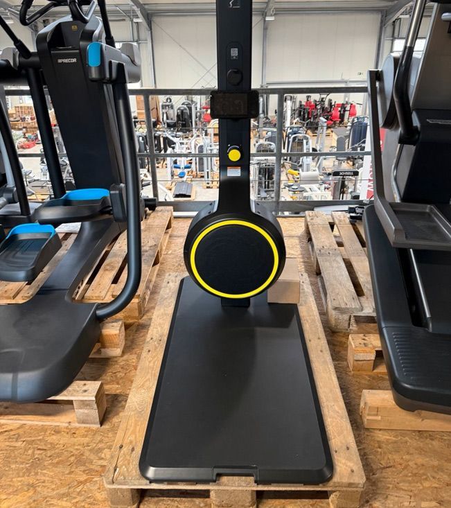Rudergerät Technogym