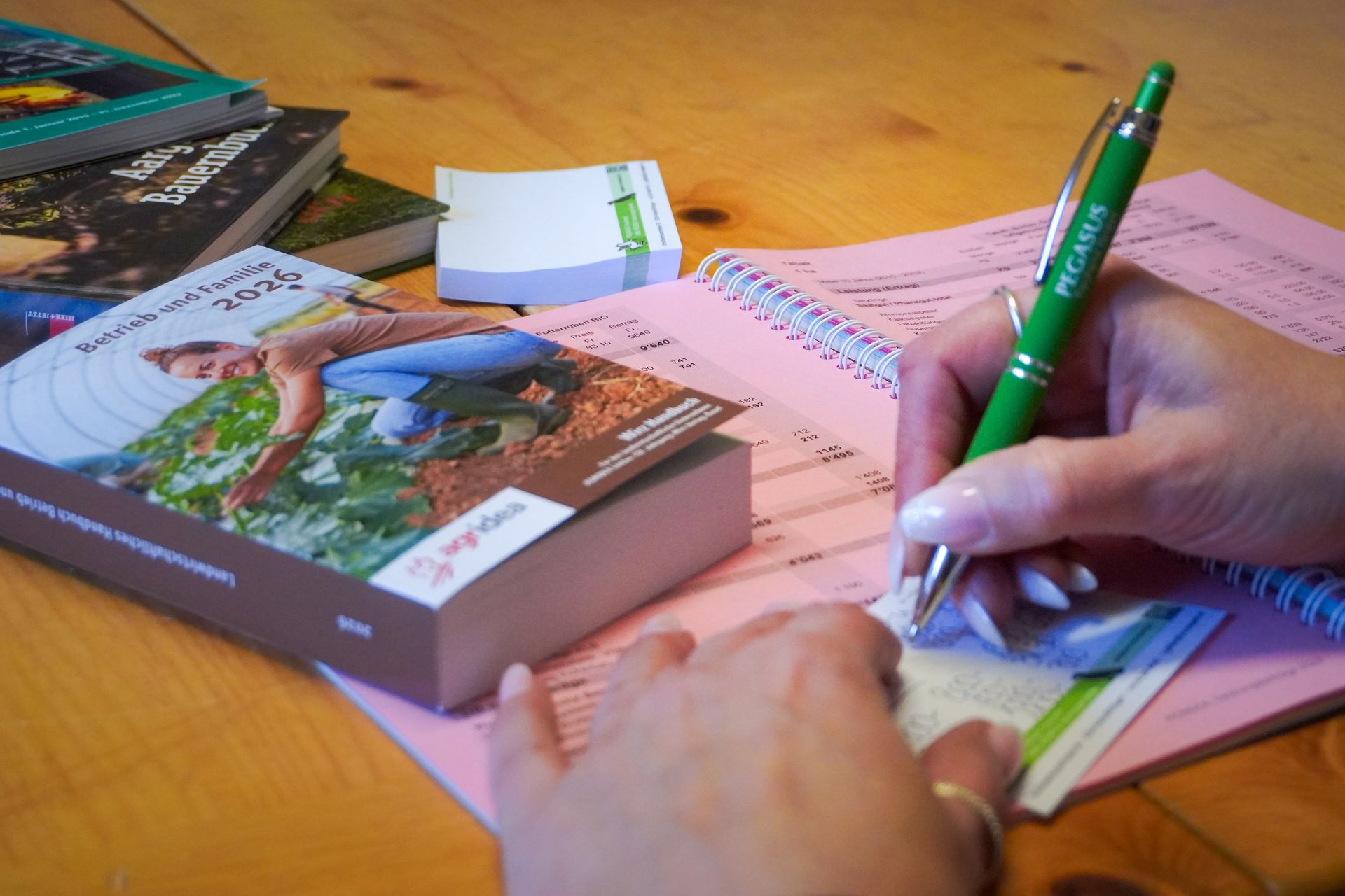 Grüner Pfeil nach oben, „Erfolgsversprechend!“, auf einer Backsteinmauer mit geschäftlichen Kritzeleien.