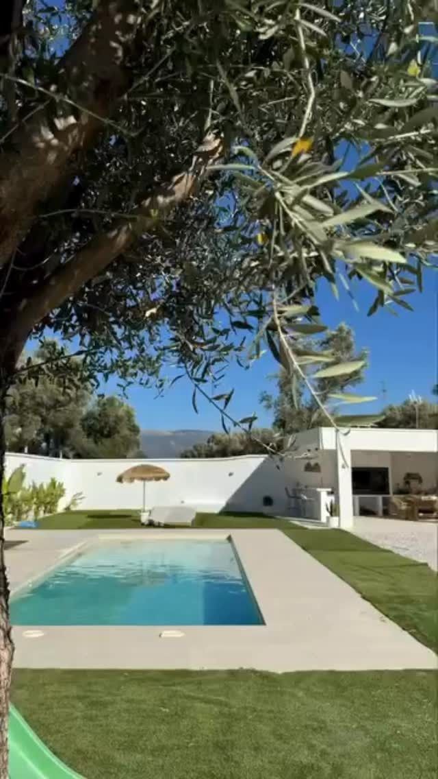 Patio trasero con una piscina turquesa, césped verde, pared blanca y ramas de árboles en primer plano.