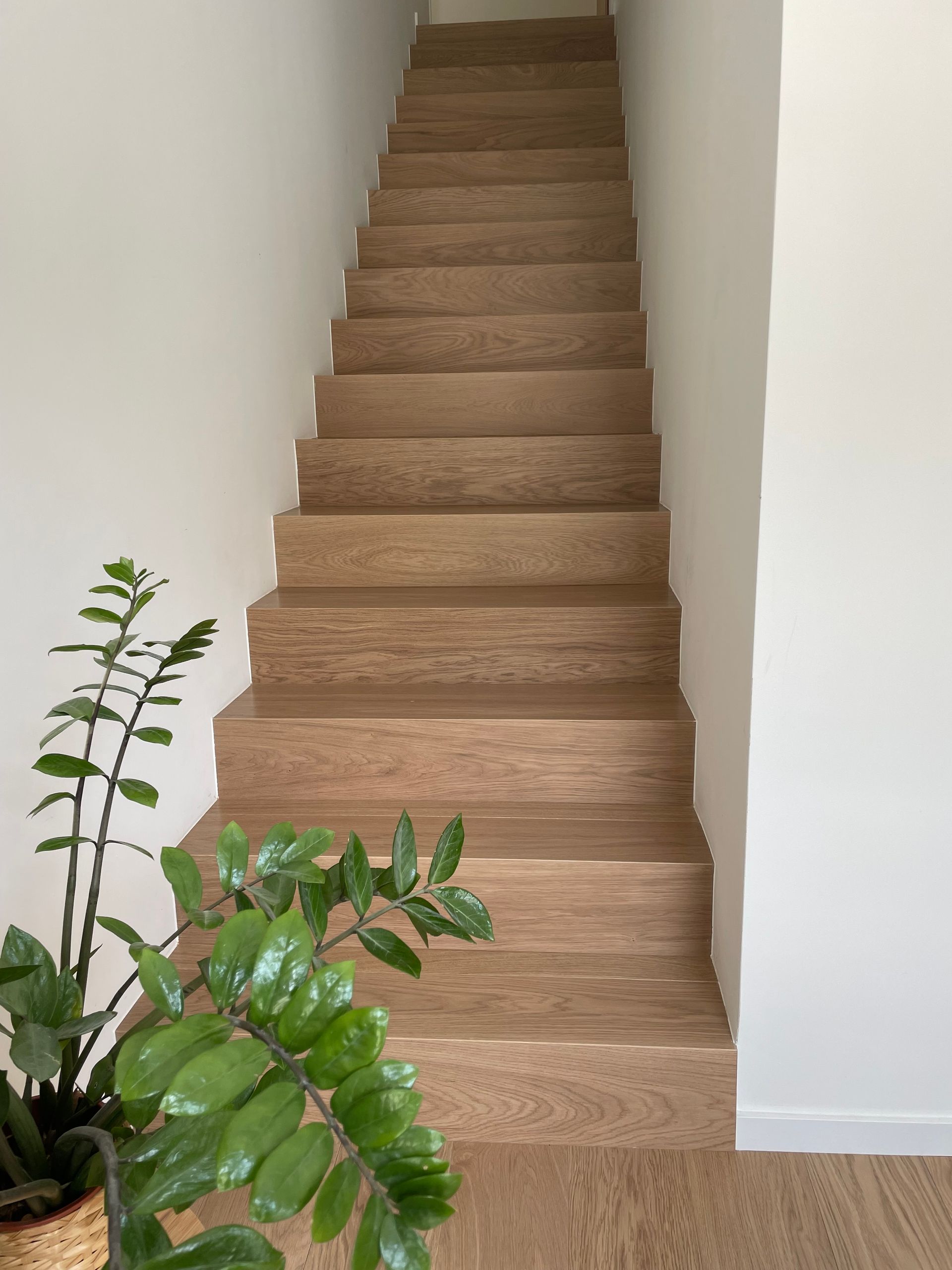 PRDG - Genève - ponçage - pose - terrasse - ARTI'PRO- parquet - revêtement de sol - escalier - nez de marche - massif - rénovation - carrelage - moquette - neuf - PVC - vente - teinte