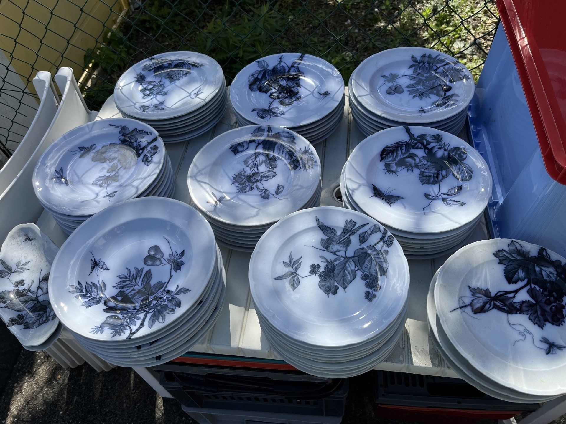 Décors végétaux par Longwy