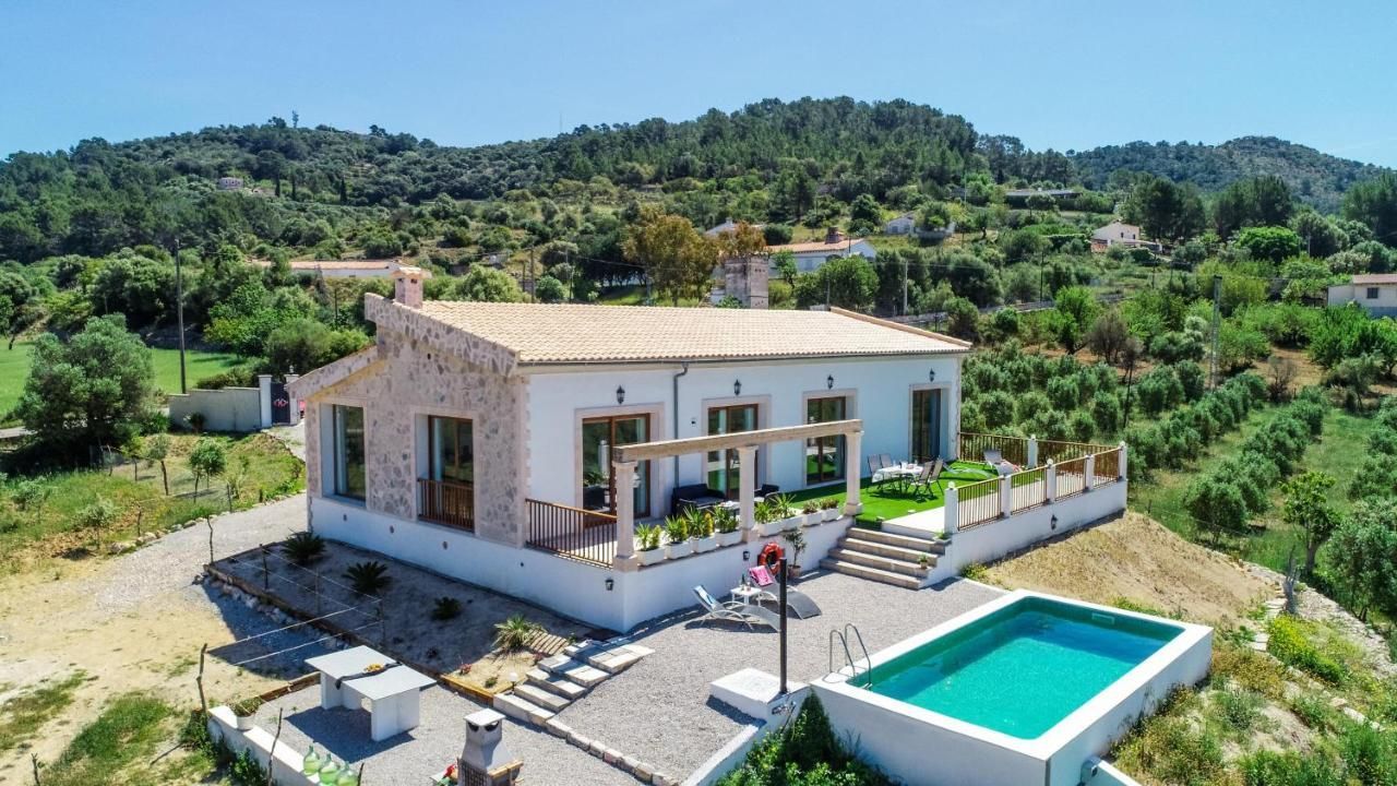 An aerial view of a house with a large swimming pool surrounded by trees.