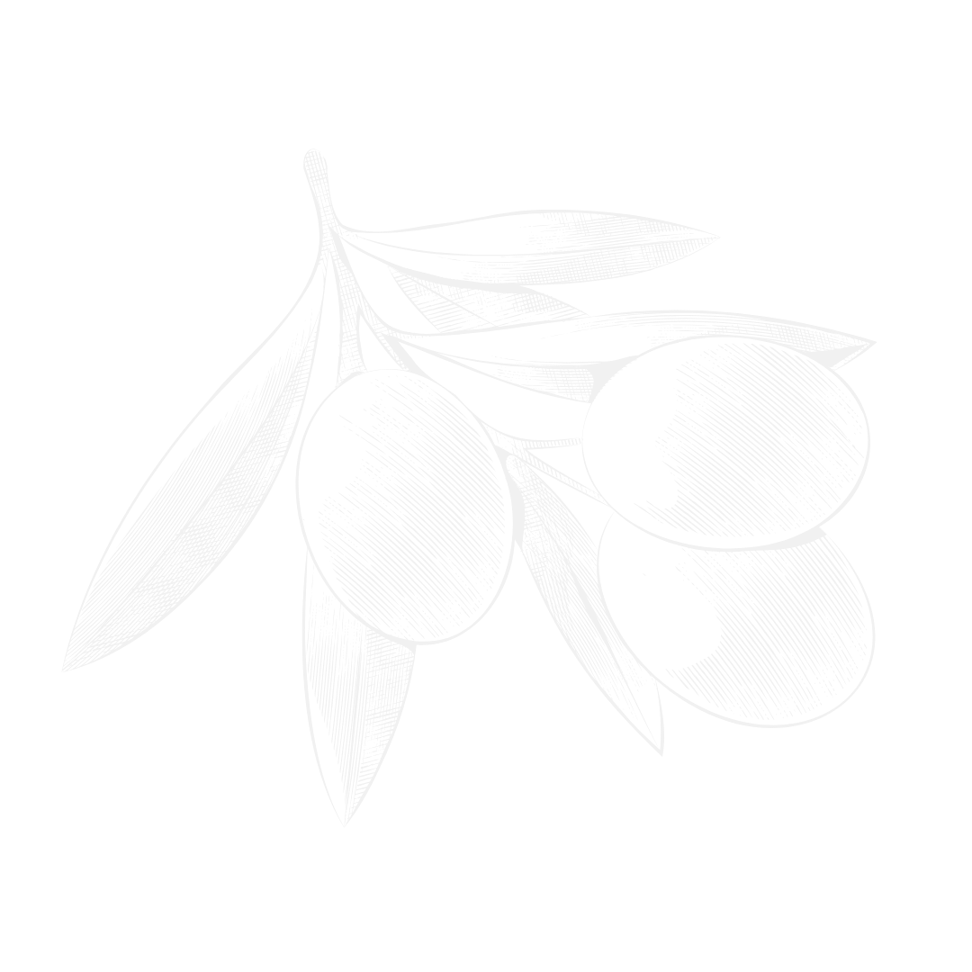 Logo Akropolis weiß
