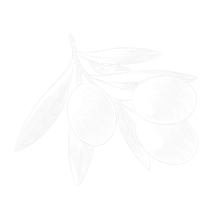 Logo Akropolis weiß