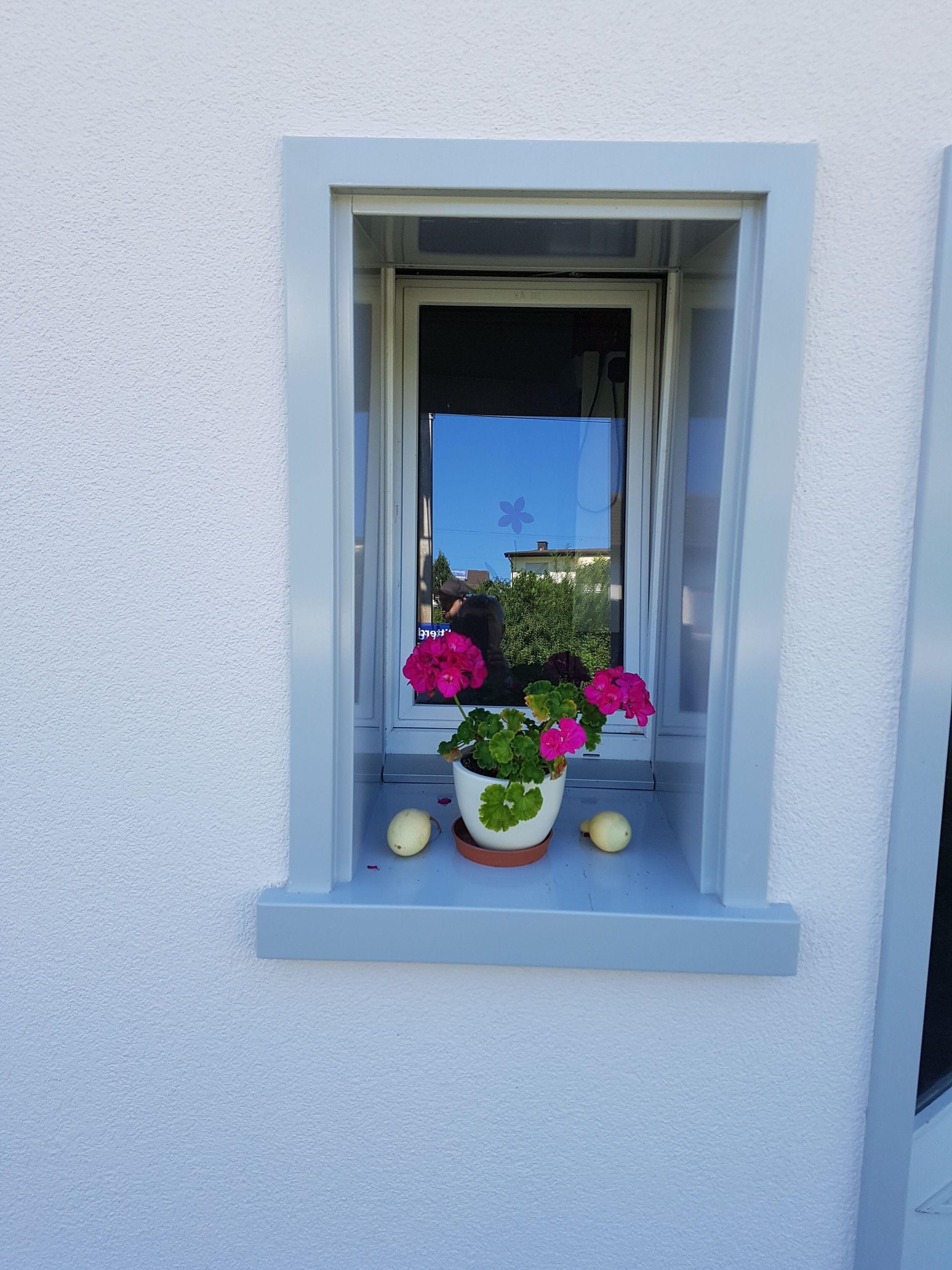 Fenster mit einem Blumentopf und zwei gelben Kürbissen auf einem Sims, eingefasst in einen hellgrauen Rahmen vor einer weißen Stuckwand.