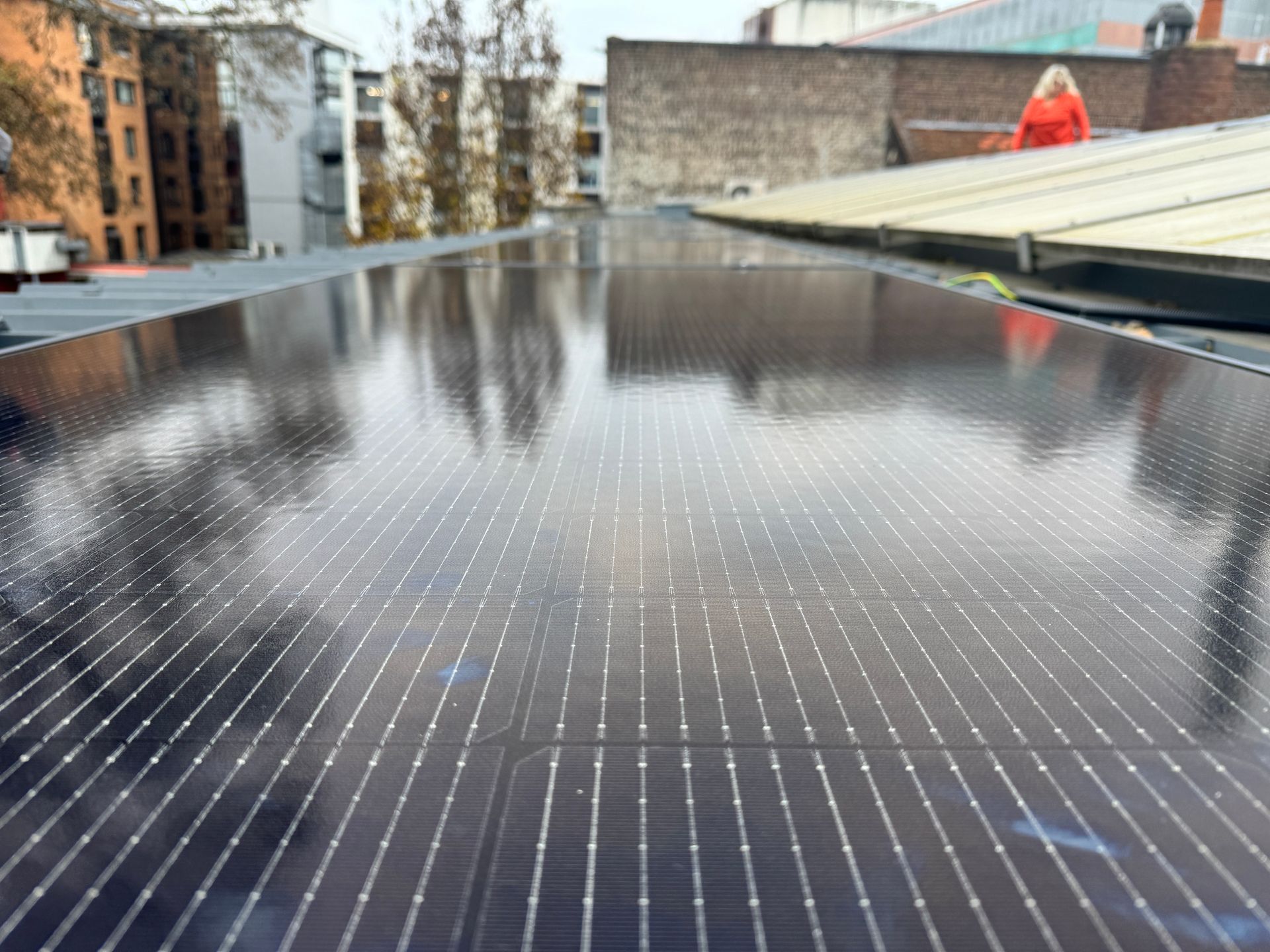 Un oiseau est perché au sommet d'un panneau solaire sur un toit.