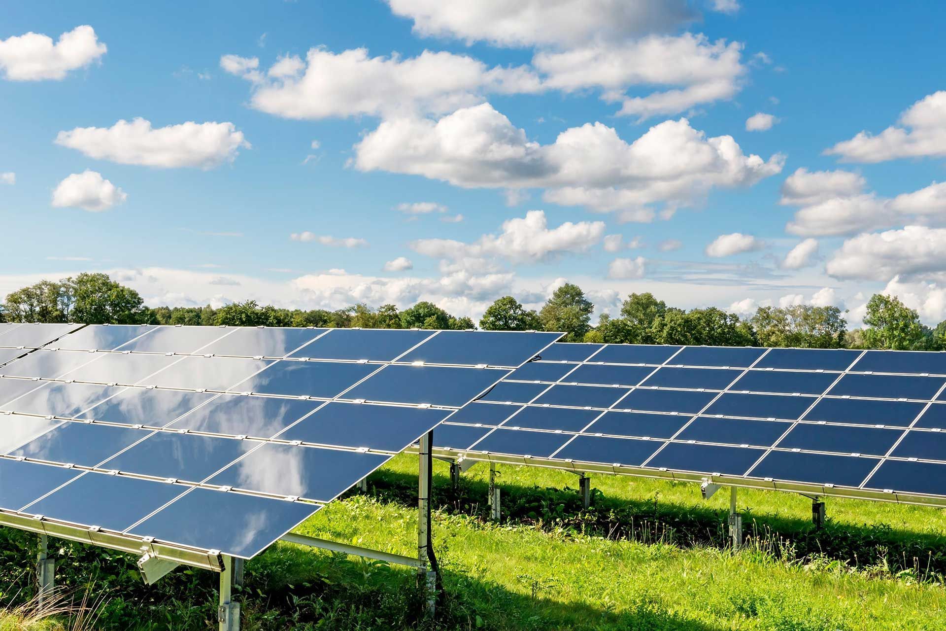 Une rangée de panneaux solaires posée sur un champ verdoyant.