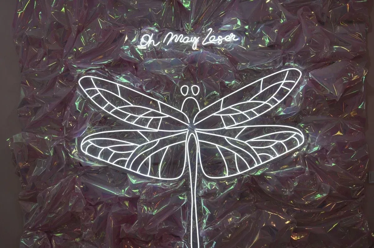 Arte de libélula de neón sobre fondo iridiscente y arrugado; el texto de arriba dice 