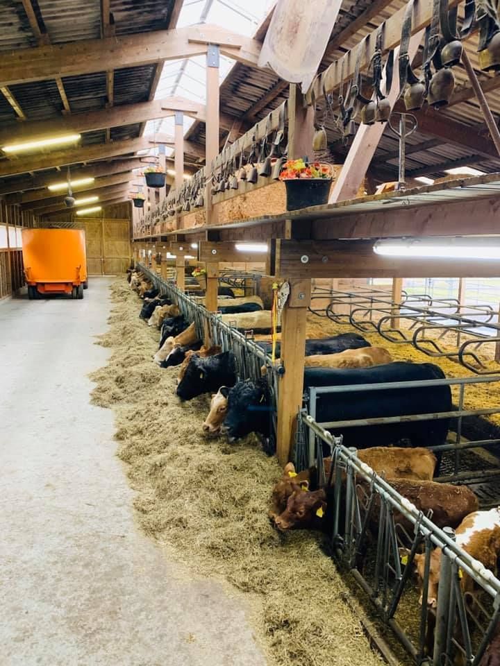 Capannone mucche fieno - Produzione carne biologica - Azienda agricola Gianella