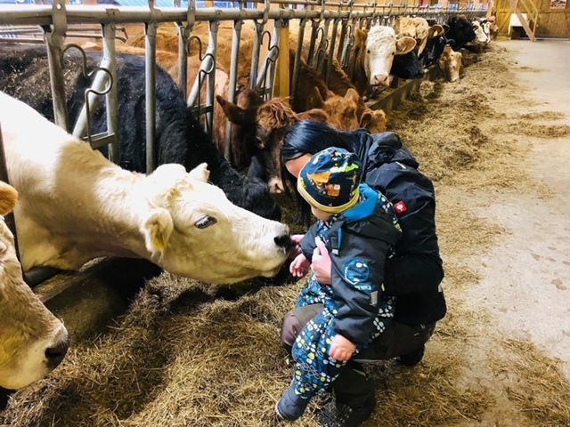 AZIENDA AGRICOLA GIANELLA