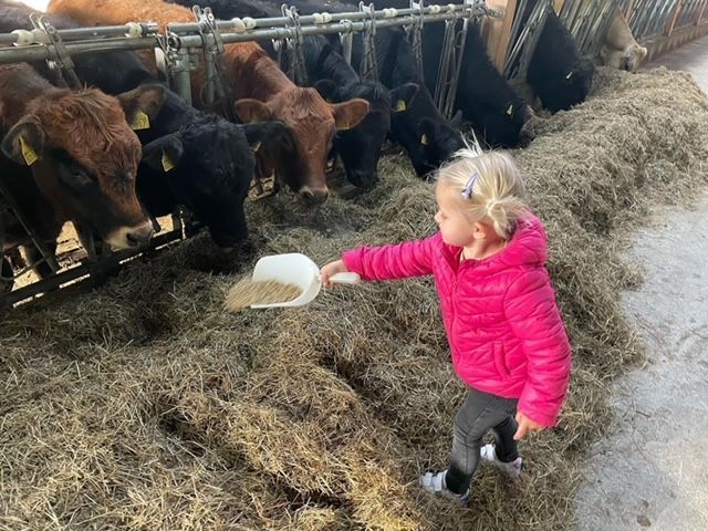 AZIENDA AGRICOLA GIANELLA
