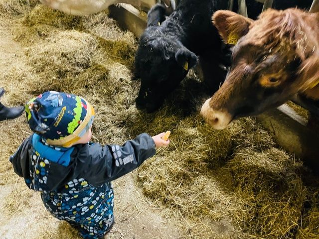 AZIENDA AGRICOLA GIANELLA