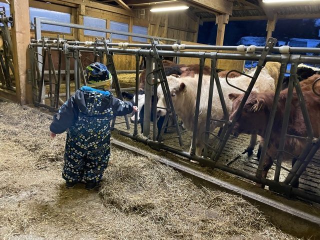 AZIENDA AGRICOLA GIANELLA