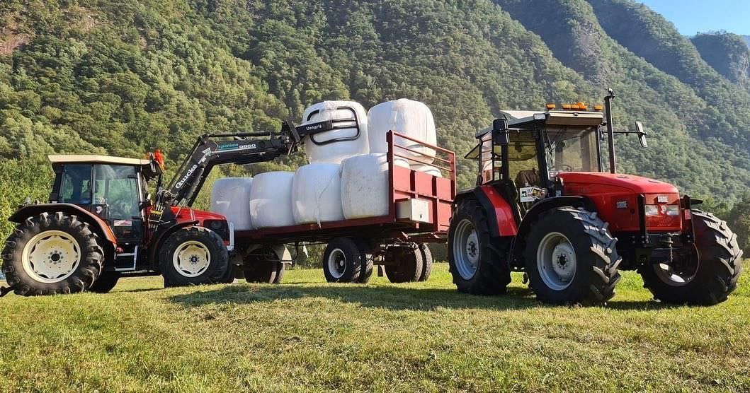 Raccolta fieno - Produzione carne biologica - Azienda agricola Gianella