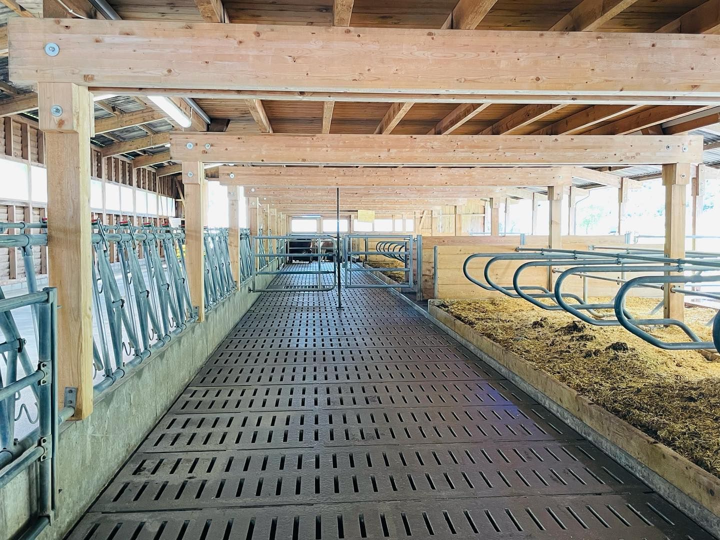 Produzione carne biologica - Azienda agricola Gianella