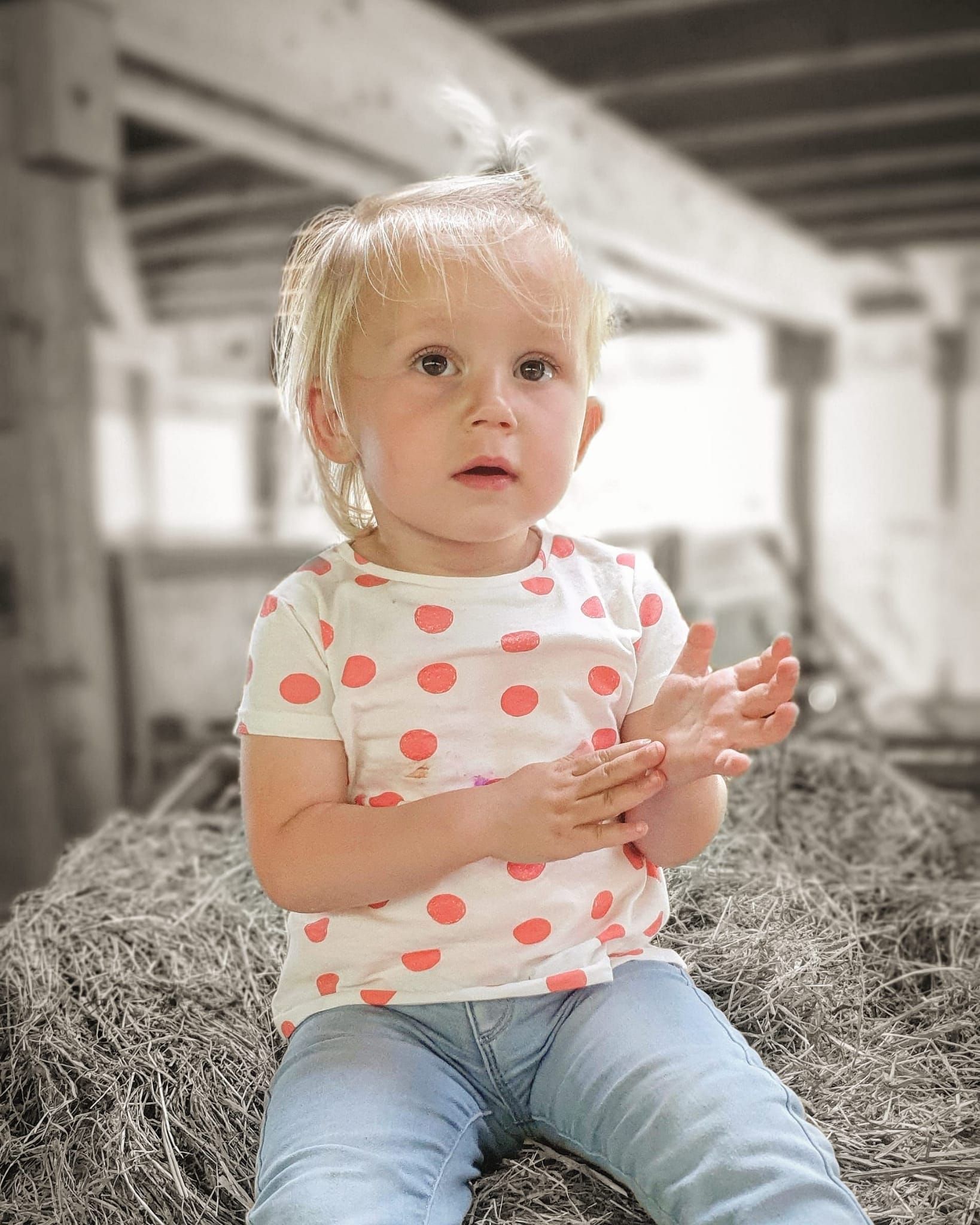 AZIENDA AGRICOLA GIANELLA